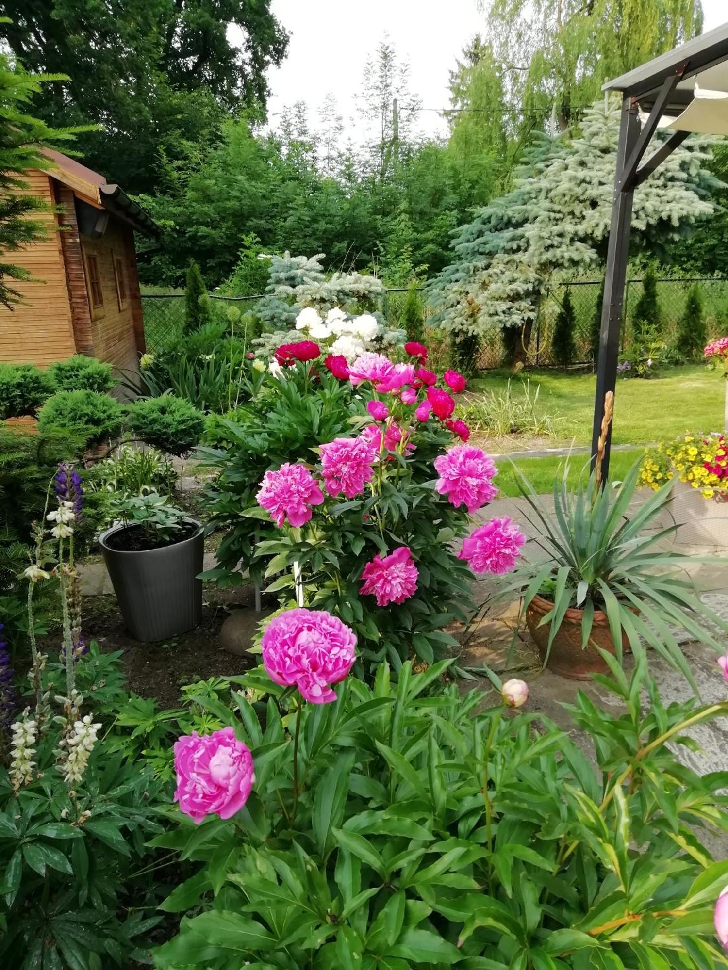 Apartament Wlodek Еленя-Гура Экстерьер фото
